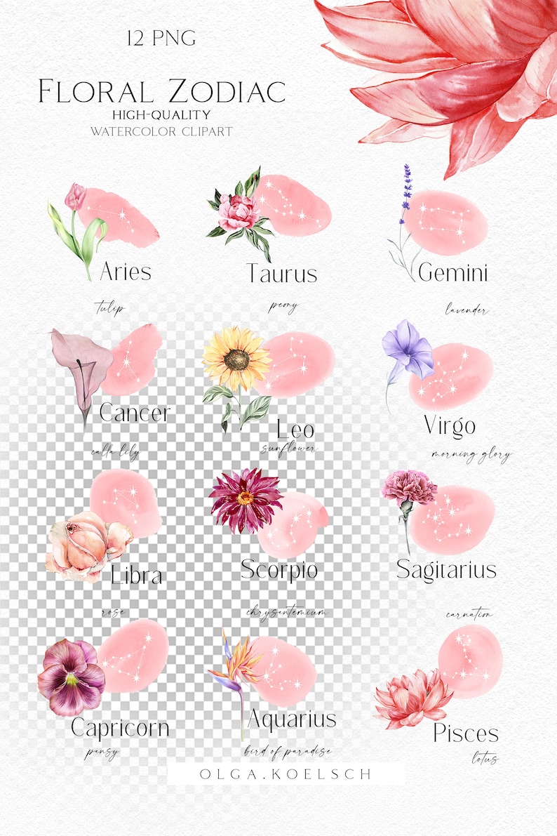 May include: A set of 12 watercolor illustrations of zodiac signs with flowers. Each sign is represented by a different flower, such as a tulip for Aries, a peony for Taurus, and a lavender for Gemini. The illustrations are on a pink background with white stars.