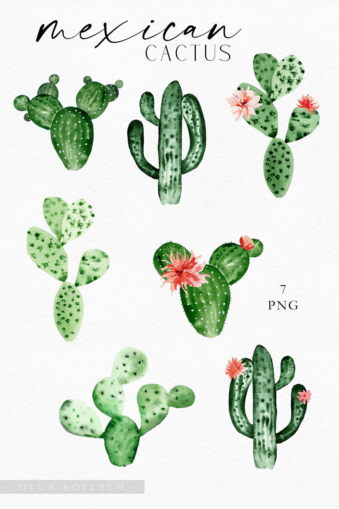 Cactus Watercolor Clipart Cute Cactus Png. Green Succulent - Etsy