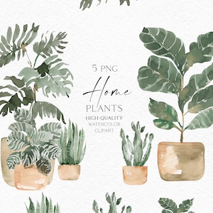 Clipart de vegetação aquarela, Plantas domésticas png, Folhas verdes png, Plantas em vasos pintadas à mão para jardinagem e cartões de felicitações de fazenda