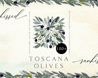 Watercolor olive clipart,  Boho greenery clipart  with white flowers png, Olive foliage for wedding invitations and food logo 050