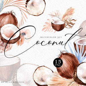Clipart de coco de acuarela, clipart de coco tropical boho png, hojas de palma para boda de verano, cosméticos, logotipo 043