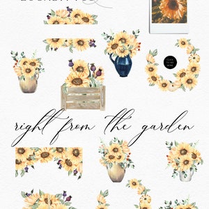May include: Watercolor illustrations of sunflowers and eucalyptus leaves in various arrangements.  The illustrations include wreaths, bouquets, and borders.  The text "right from the garden" is written in cursive.