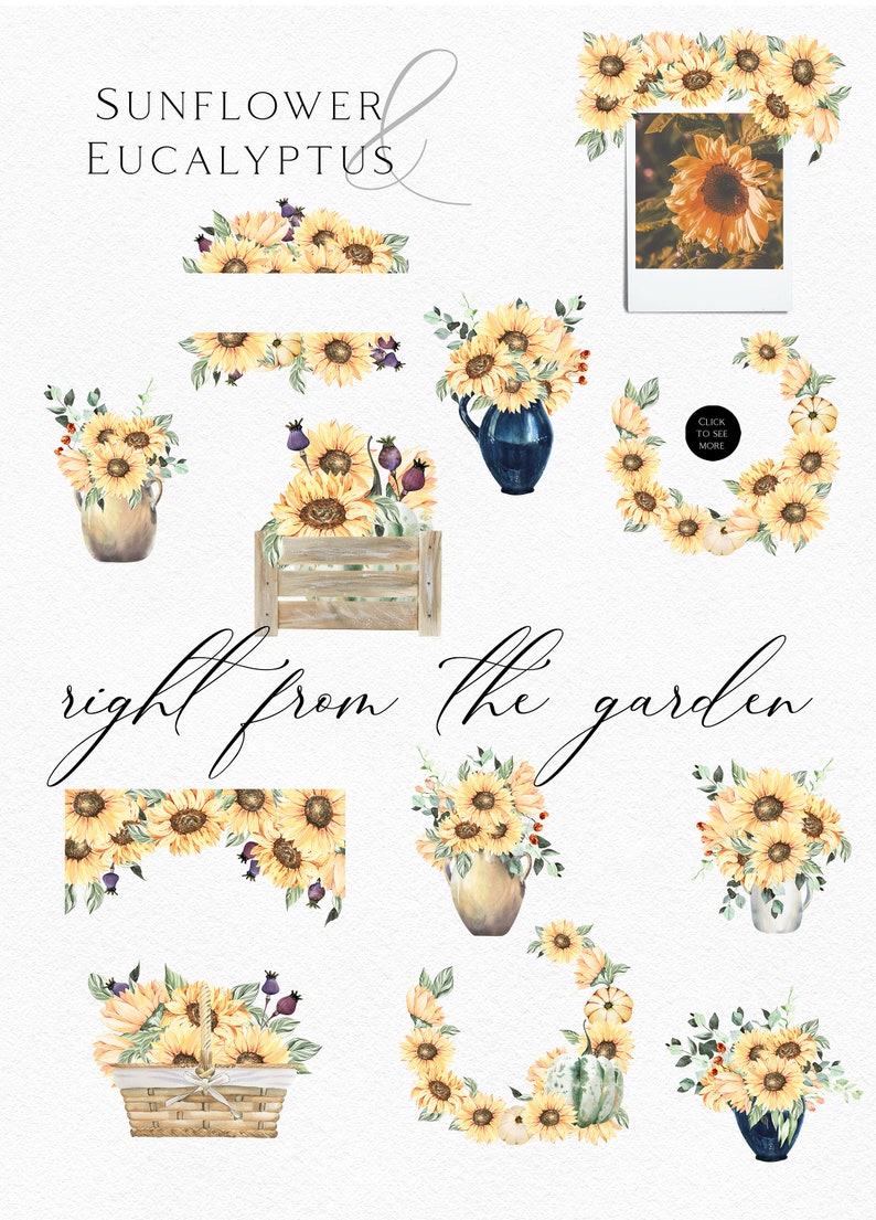 May include: Watercolor illustrations of sunflowers and eucalyptus leaves in various arrangements.  The illustrations include wreaths, bouquets, and borders.  The text "right from the garden" is written in cursive.