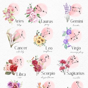 May include: Watercolor illustrations of the 12 zodiac signs, each with a different flower and constellation. The signs are Aries, Taurus, Gemini, Cancer, Leo, Virgo, Libra, Scorpio, Sagittarius, Capricorn, Aquarius, and Pisces.