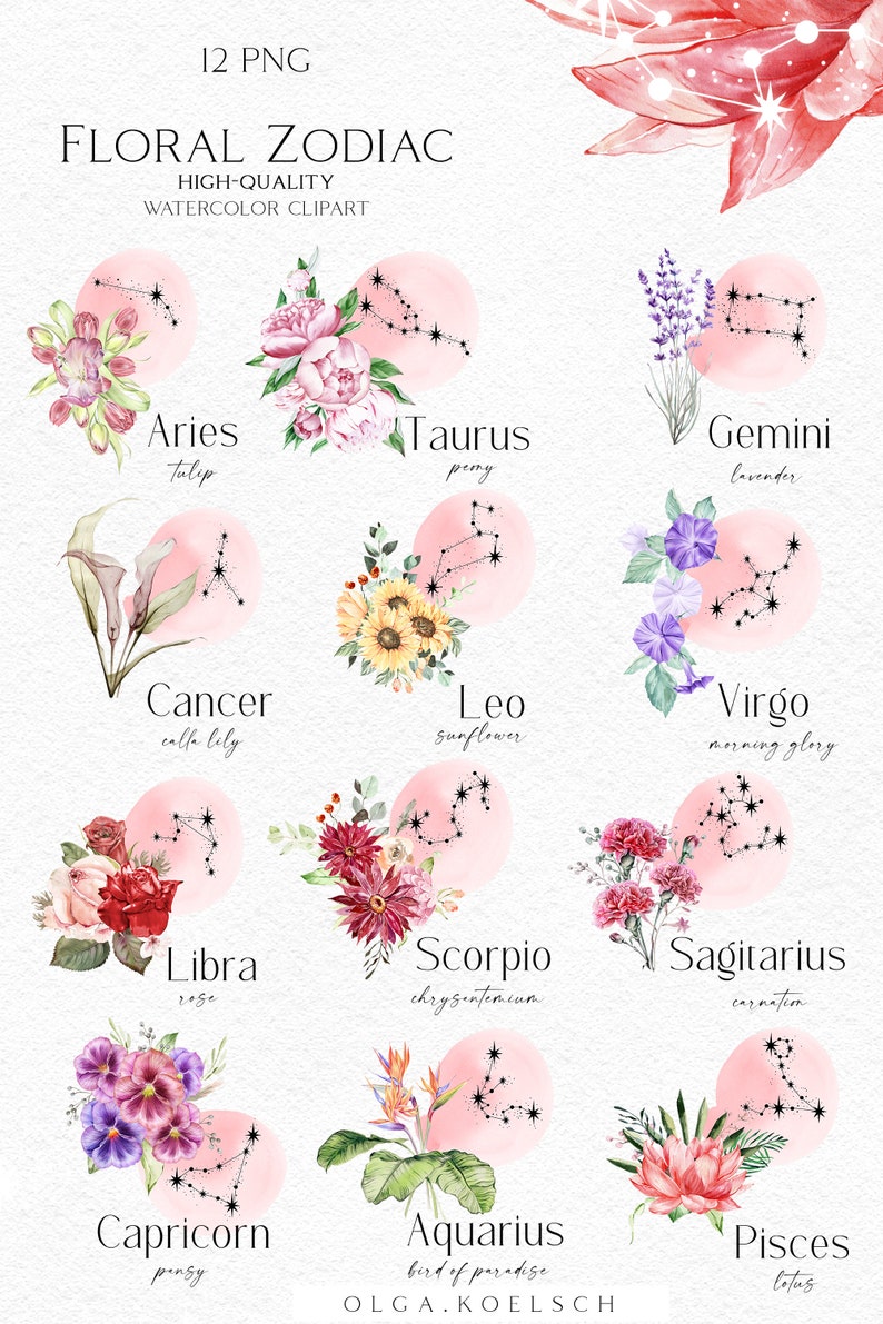 May include: Watercolor illustrations of the 12 zodiac signs, each with a different flower and constellation. The signs are Aries, Taurus, Gemini, Cancer, Leo, Virgo, Libra, Scorpio, Sagittarius, Capricorn, Aquarius, and Pisces.