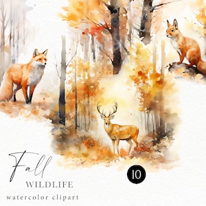 Clipart aquarelle d'animaux des bois, paysage d'automne avec ours, renard, cerf, lapin, loup png pour affiches de paysages forestiers, affiches d'automne 150