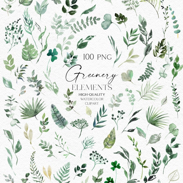 Watercolor greenery bundle clipart, Green leaves png, Hand painted grass clip art for wedding,  invitations, baby shower