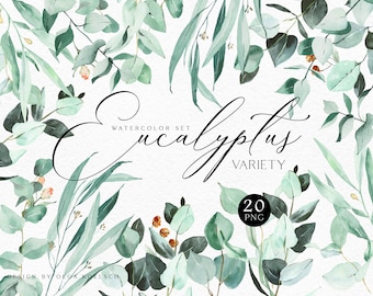 Eucalyptus clipart watercolor Greenery modern clipart bundle Eucalyptus elements for wedding invitation and logo design