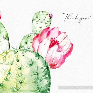 May include: Watercolor painting of a cactus with pink flowers. The cactus is green and has spines. The flowers are pink and white. The text "Thank you!" is written in black ink on the right side of the image. The artist's name, "OLGA KOELSCH", is written in black ink at the bottom of the image.