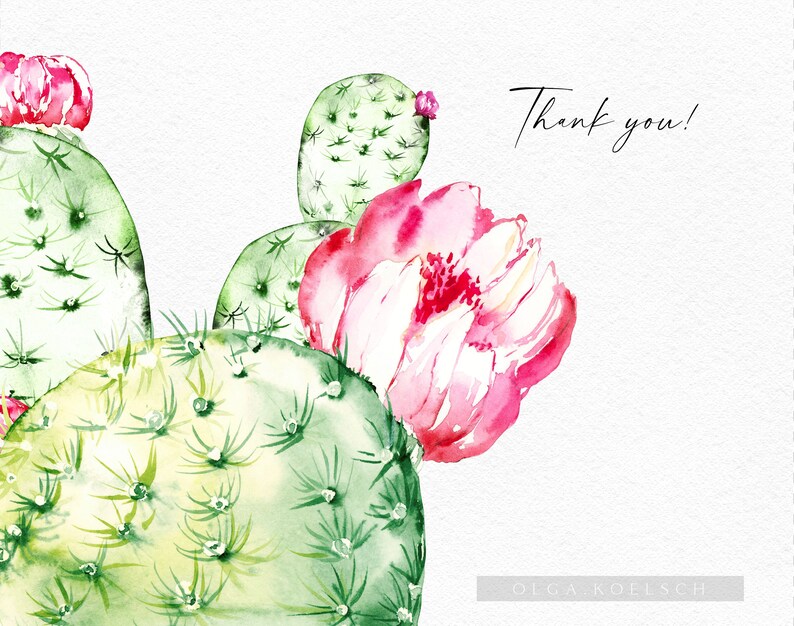 May include: Watercolor painting of a cactus with pink flowers. The cactus is green and has spines. The flowers are pink and white. The text "Thank you!" is written in black ink on the right side of the image. The artist's name, "OLGA KOELSCH", is written in black ink at the bottom of the image.