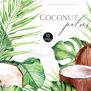 Clipart de acuarela de coco, Clipart tropical moderno de coco png, Hojas de palma para bodas de verano, cosméticos, tarjetas de felicitación 070