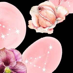 May include: Watercolor floral zodiac clip art featuring pink and purple flowers with white star constellations on pink backgrounds. The text "Floral Zodiac" and "High-Quality Watercolor Clipart" is displayed at the top of the image. The artist's name "OLGA.KOELSCH" is displayed at the bottom of the image.