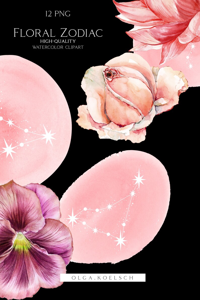 May include: Watercolor floral zodiac clip art featuring pink and purple flowers with white star constellations on pink backgrounds. The text "Floral Zodiac" and "High-Quality Watercolor Clipart" is displayed at the top of the image. The artist's name "OLGA.KOELSCH" is displayed at the bottom of the image.