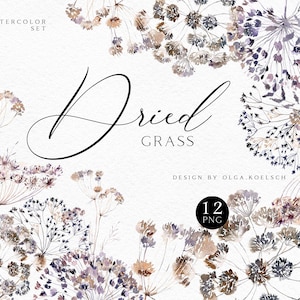 Clipart de aquarela boho, clipart de flores secas, coroa de flores boho png, clipart de grama para convites de casamento, chá de bebê 021
