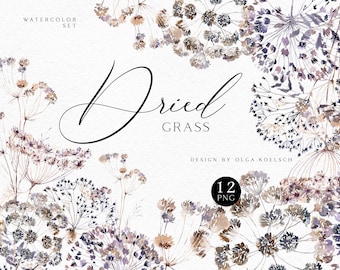 Op de afbeelding: Waterverf-illustratieset van 12 gedroogde grassen in tinten van bruin, paars en beige. De set heeft de titel "Dried Grass" en bevat de tekst "Design by Olga.Koelsch".