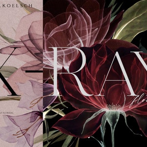 Boho roses clipart, Dusty pink watercolor floral borders, Burgundy  flowers png, Wedding bouquet clipart  026