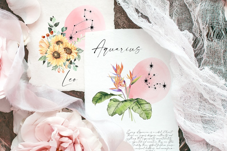 May include: Two watercolor illustrations of zodiac signs, Leo and Aquarius. The Leo illustration features a bouquet of sunflowers with a pink watercolor circle and black constellation behind it. The Aquarius illustration features a bird of paradise flower with a pink watercolor circle and black constellation behind it. Both illustrations have the zodiac sign name written below.