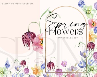 Puede incluir: Ilustración en acuarela de flores de primavera, incluyendo flores moradas, rosas, amarillas y blancas. El texto "Spring Flowers Watercolor Set" se muestra en un marco dorado. Diseño de Olga Koelsch.