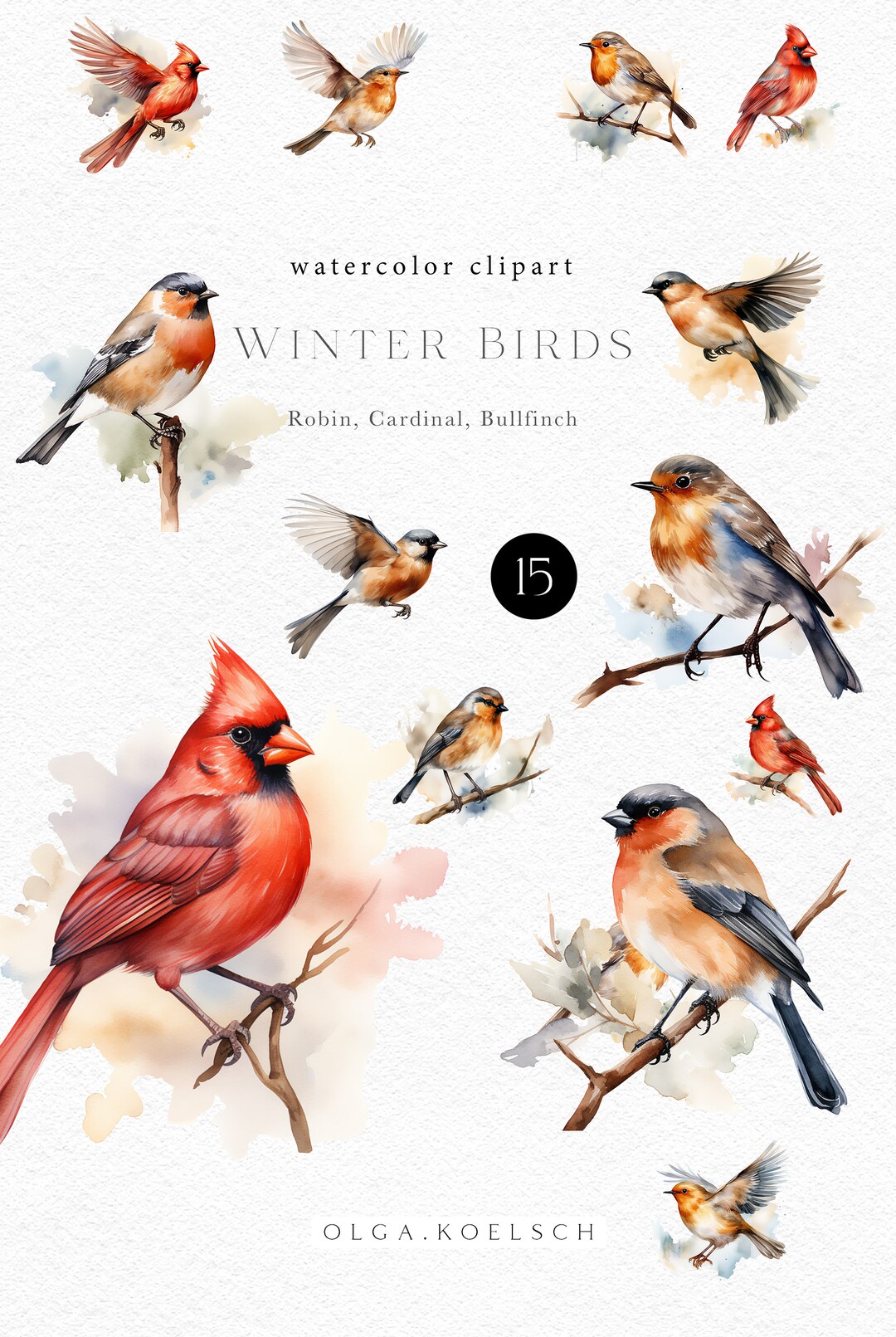 Watercolor Cardinal Clipart, Winter Birds Png, Robin Bird for Christmas ...