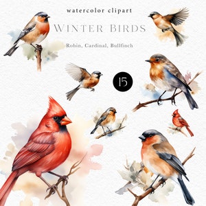 Clipart cardinal aquarelle, png d'oiseaux d'hiver, oiseau rouge-gorge pour cartes de voeux de scrapbooking de Noël, étiquettes cadeaux 164