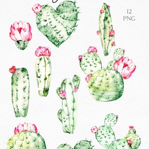 May include: A set of 12 watercolor illustrations of cacti in various shapes and sizes, including heart-shaped, round, and tall, with pink flowers. The illustrations are labeled "lovely cactus" and "12 PNG".