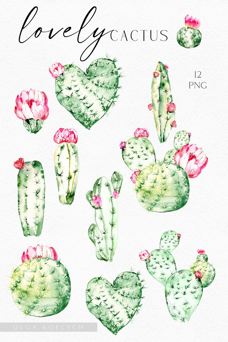May include: A set of 12 watercolor illustrations of cacti in various shapes and sizes, including heart-shaped, round, and tall, with pink flowers. The illustrations are labeled "lovely cactus" and "12 PNG".