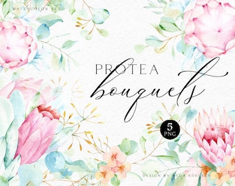 Watercolor Protea Eucalyptus Clipart, Pink Floral Wedding Invitation (PNG)