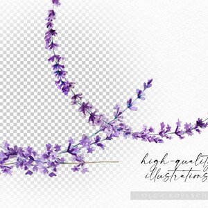 May include: Watercolor illustration of lavender flowers in shades of purple and white. The flowers are arranged in a loose, flowing pattern, creating a delicate and romantic feel.
