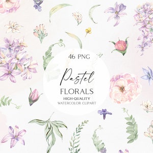 Flores cor de rosa aquarela clipart, elemento floral pastel, png de vegetação, clipart botânico isolado para convite de casamento, chá de bebê 124