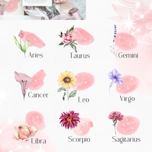 May include: A set of twelve watercolor illustrations of zodiac signs with floral elements. Each sign is depicted with a different flower and constellation. The background is a soft pink with white stars.