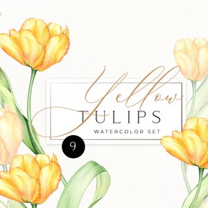 Aquarell gelbe Tulpen einzelne PNG Clipart. Frühlingsblumen Clip Art, handgemalte rosa, lila Tulpen, Grünpflanzen, DIY Frohe Ostern 125