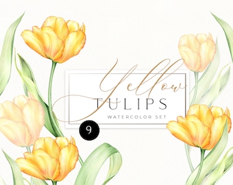 Watercolor Yellow Tulips individual PNG clipart. Spring flowers clip art, hand-painted pink, purple tulips, greenery, DIY Happy Easter 125