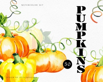 Aquarel pompoen clipart, herfst babyshower uitnodiging, Thanksgiving pompoen png, herfst clipart voor wenskaarten, halloween DIY 089