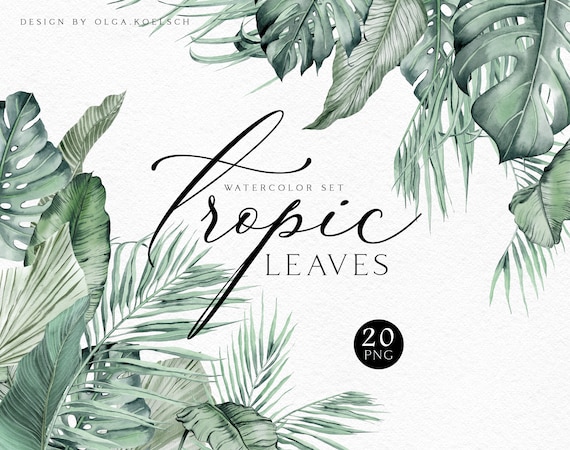 Watercolor tropical leaves clipart. Hand drawn greenery clipart  with jungle leaves  png for wedding invitation 013