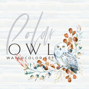 Clipart hibou des bois, clipart pays des merveilles d'hiver pour affiche de Noël, art pour chambre d'enfant, baby shower, oiseau de forêt aquarelle png 058