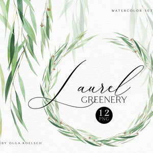 Aquarel lauwerkrans clipart. Groen clipart aquarel.  Laurier clipart blad, png