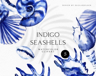Blue Seashell Watercolor Clipart Set (PNG)