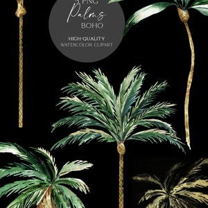 May include: Five watercolor illustrations of palm trees in a boho style. The trees are green and gold and have a black background. The text "5 PNG Palms BOHO HIGH-QUALITY WATERCOLOR CLIPART OLGA.KOELSCH" is at the bottom of the image.