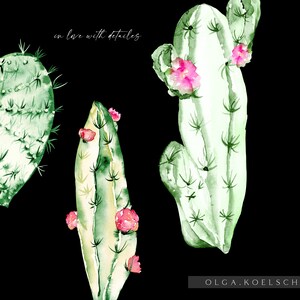 May include: Watercolor painting of three green cacti with pink flowers. The cacti are in different shapes, including a heart shape. The text "in love with details" is written in white cursive at the top of the image. The artist's name "OLGA.KOELSCH" is written in white at the bottom of the image.