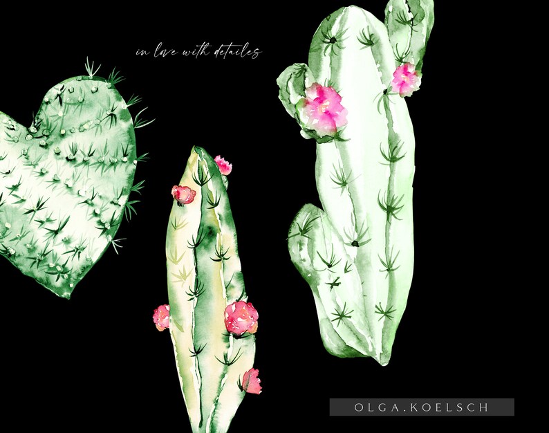 May include: Watercolor painting of three green cacti with pink flowers. The cacti are in different shapes, including a heart shape. The text "in love with details" is written in white cursive at the top of the image. The artist's name "OLGA.KOELSCH" is written in white at the bottom of the image.