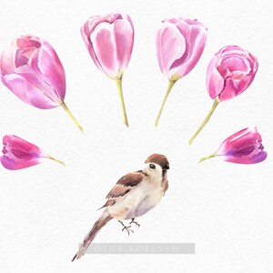 Watercolor Pink Tulip Clipart, Easter Flowers Clip Art, Pink Floral ...