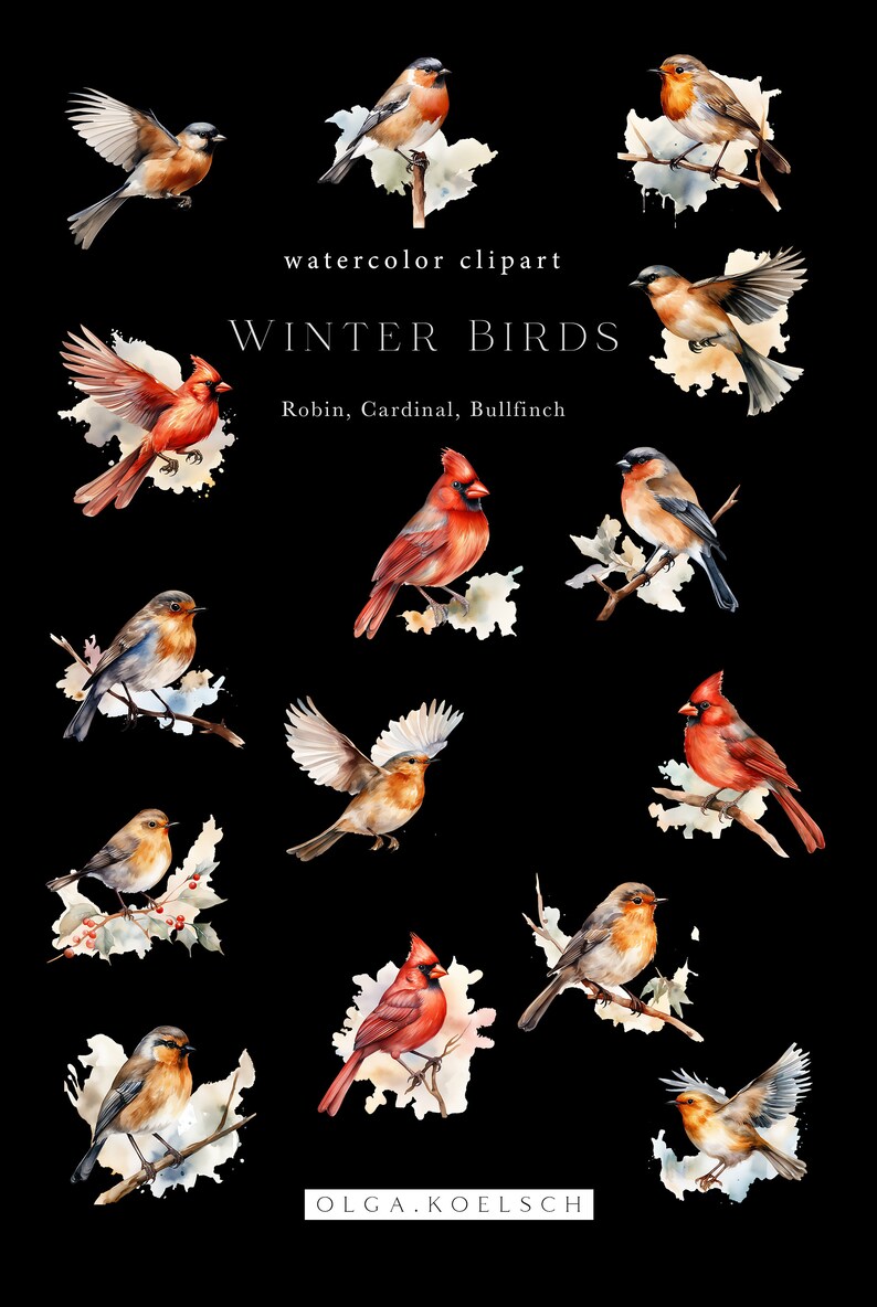 Watercolor Cardinal Clipart, Winter Birds Png, Robin Bird for Christmas ...