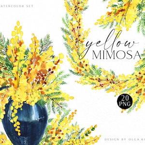 Clipart di mimosa ad acquerello, clipart di fiori di Pasqua, elementi floreali primaverili individuali per biglietti per la festa della mamma, baby shower fai da te 122