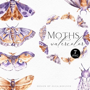 Aquarell Motte Clipart, lila Schmetterling png, Boho digitale Clipart für Logo-Design, Aufkleber, Wohnkultur, Babyparty 021