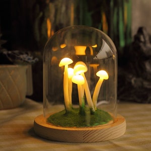 Cute Mushroom Night Light, Mushroom Lamp,  Soft Warm for Kids Gift, Mom Gift