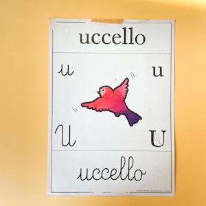 Abecedario vintage da parete - lettera U - illustrazione vintage Uccello - poster scolastico  - Alfabeto da parete illustrato - anni 60