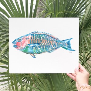 May include: Watercolor painting of a parrotfish. The fish features a blue body with orange and green accents. The artwork is displayed on a white background, held against a backdrop of green palm leaves.