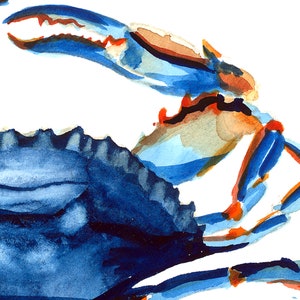 Two paper art prints with 1 blue crab on one print and oyster shells on the other. Watercolor illustration perfectly matches beach, nautical, and coastal home decor. Unframed ready for you to add to your own matt and or frame you have at home.
