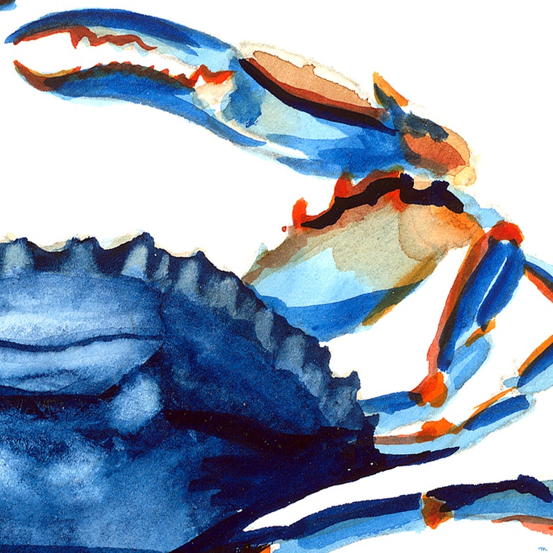Two paper art prints with 1 blue crab on one print and oyster shells on the other. Watercolor illustration perfectly matches beach, nautical, and coastal home decor. Unframed ready for you to add to your own matt and or frame you have at home.