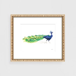 Peacock Watercolor Print Bird Painting Birdwatcher Gift Cute Peacock Wall Art Bird Lover Gift by Artist Michelle Mospens